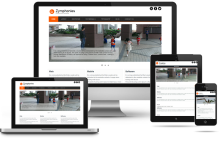 Business Responsive Theme preview